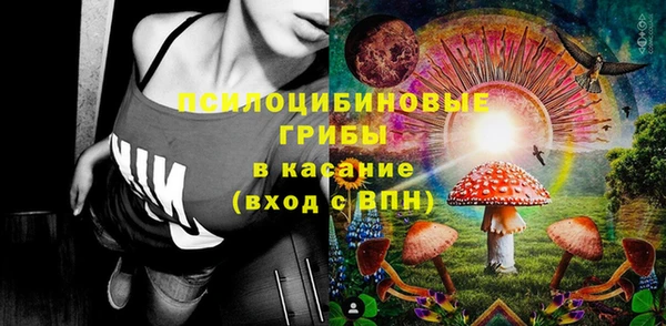 ГАЛЛЮЦИНОГЕННЫЕ ГРИБЫ Алзамай