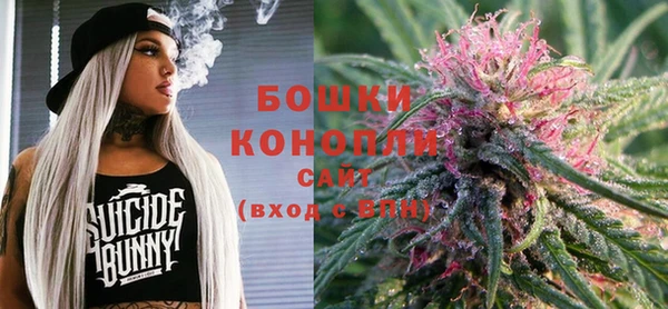 ГАЛЛЮЦИНОГЕННЫЕ ГРИБЫ Алзамай
