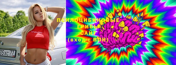 ГАЛЛЮЦИНОГЕННЫЕ ГРИБЫ Алзамай
