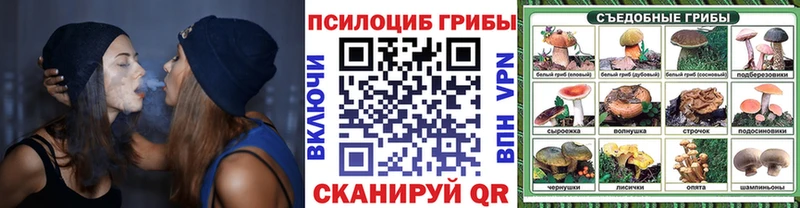 Псилоцибиновые грибы Psilocybine cubensis  Рыбное 